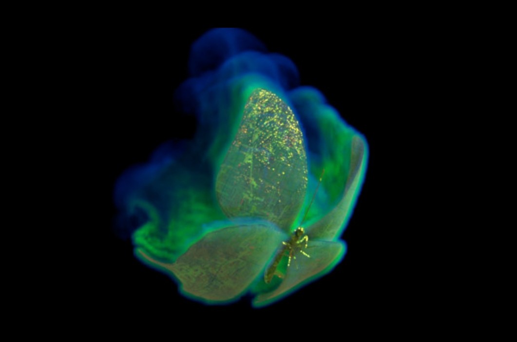 A green and gold butterfly surrounded by blue and green smoky trails against black